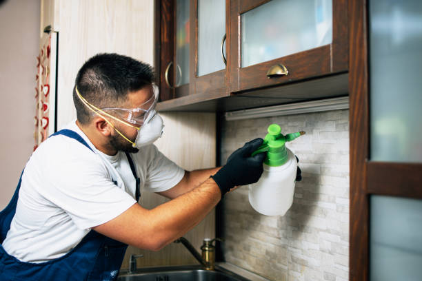 Best Termite Control Services  in Green Level, NC