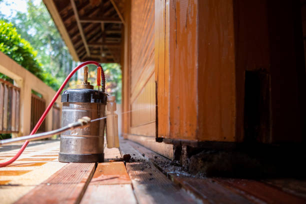 Best Rat Extermination Near Me  in Green Level, NC