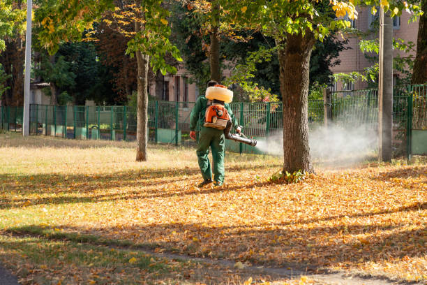 Best Pest Control for Businesses  in Green Level, NC